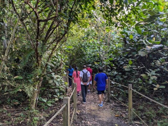 Annamalai Alumni - Event Nature Walk